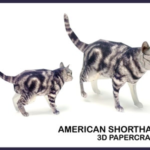 Papercraft 3D a pelo corto americano / papercraft 3d gatto fai da te / scultura di carta gatto / download digitale gatto /