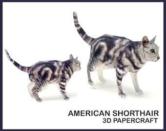 AMERICAN SHORTHAIR 3D Papercraft / DIY cat 3d papercraft / cat paper sculpture / cat digital download /