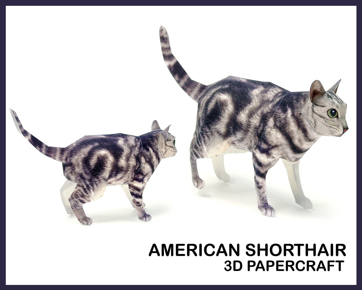 アメリカンショートヘア 3D ペーパークラフト / DIY 猫 3D
