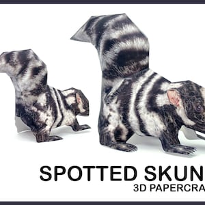 SPOTTED SKUNK 3D Papercraft / modelo de papel / artesanía de papel de animales zorrillo / modelo de papercraft / kit de modelo / modelo de cartón / animales de papercraft