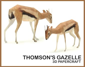 Puede incluir: Un modelo de papel 3D de una gacela de Thomson, una especie de antílope, con un pelaje rayado marrón y blanco. El modelo está de pie sobre un fondo blanco. El texto "Thomson's Gazelle 3D Papercraft" está impreso debajo del modelo.