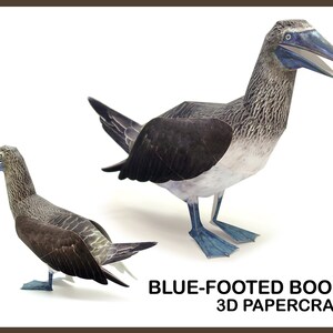 BLUE-FOOTED BOOBY 3D Papercraft / 3D Papercraft Bird / 3d origami / papercraft model / Printable diy template pdf / animal home decor