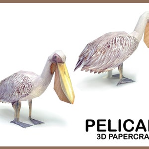 Creazioni di carta 3D PELLICANO / Origami 3D pellicano / Creazioni di carta con animali / Pellicano di carta 3D fai-da-te / Scultura di carta / Scarica file PDF stampabile
