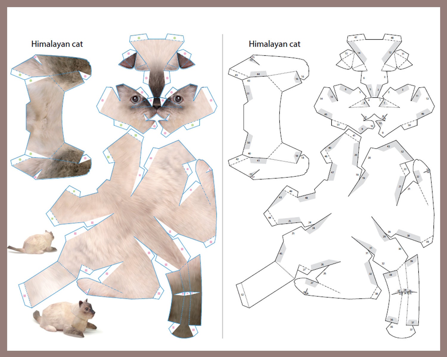 himalayan-cat-3d-papercraft-3d-origami-cat-paper-craft-cat-3d-pdf-template-papercraft-animals-paper-cat-3d-art-diy-paper-statue-etsy