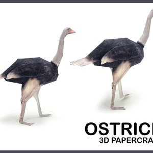 May include: A 3D papercraft model of an ostrich, with black and white feathers, standing on a white background. The model is ready to be assembled. The text "OSTRICH 3D PAPERCRAFT" is printed below the model.