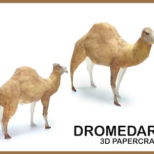 DROMEDARIO 3D Papercraft / Modello Papercraft 3D / Modello PDF / Animali fatti a mano / Scultura 3d fai da te / Scultura di carta / Download istantaneo