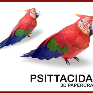 PSITTACIDAE 3D Papercraft / origami 3d / animali papercraft / pappagallo 3d papercraft / pappagallo origami 3d / stampato in 3d / animale di carta 3d fai da te
