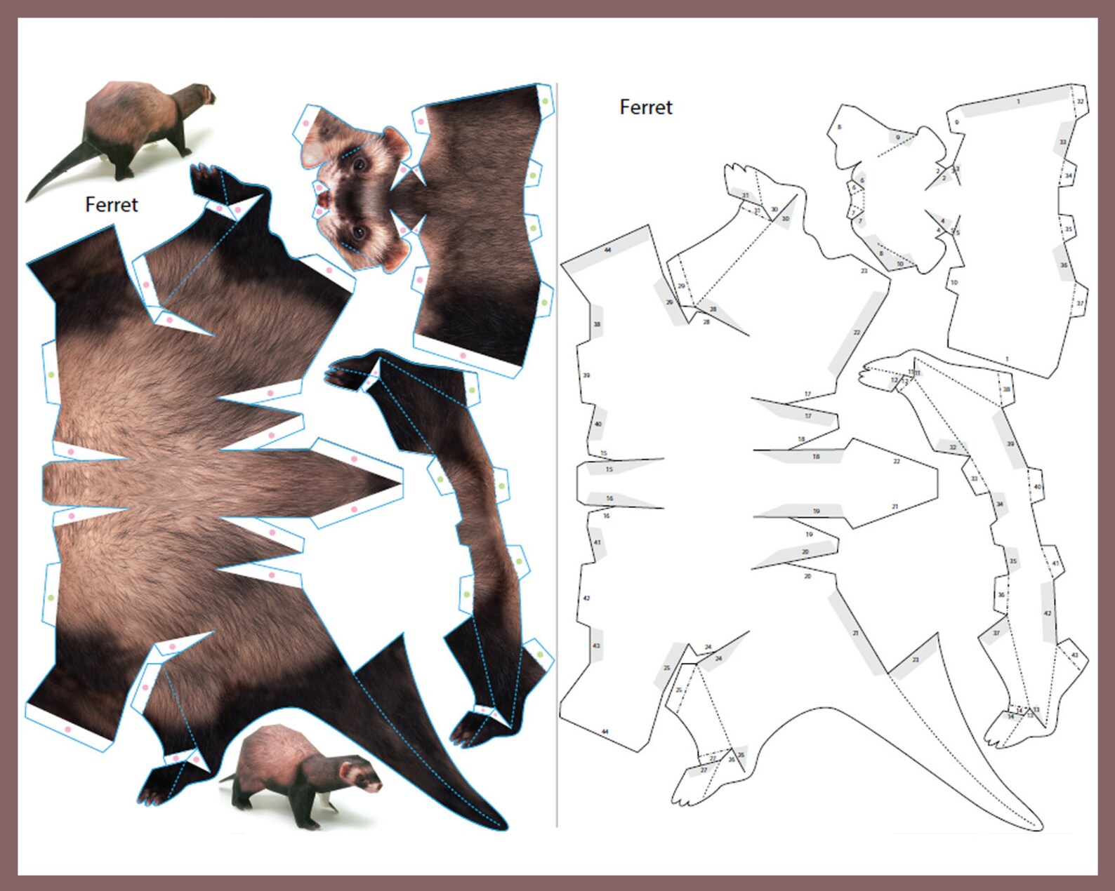 FERRET 3D Papercraft / Animals Papercraft 3D / 3d Origami Ferret