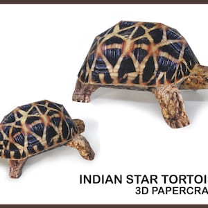 INDIAN STAR TORTOISE 3D Papercraft / papercraft model / 3d printed tortoise / tortoise gifts / 3d origami / digital template / home decor