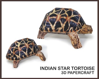 ŻÓŁW GWIAZDOWY INDYJSKI 3D Papercraft / model papierowy / żółw drukowany w 3D / prezenty w kształcie żółwia / origami 3D / szablon cyfrowy / wystrój domu