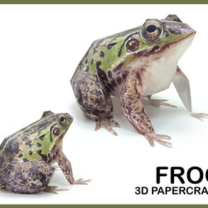 DARK-SPOTTED FROG 3D Papercraft / frog paper sculpture / frog statue /  frog papercraft sculpture / printable 3D papercraft Pdf template
