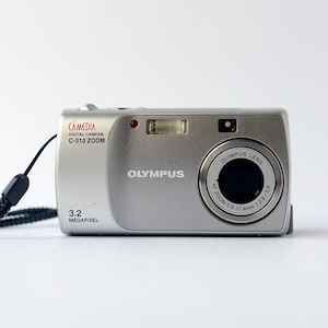 CASIO QV-R61 Digital Compact Camera With 6.0 Mega Pixels - Etsy