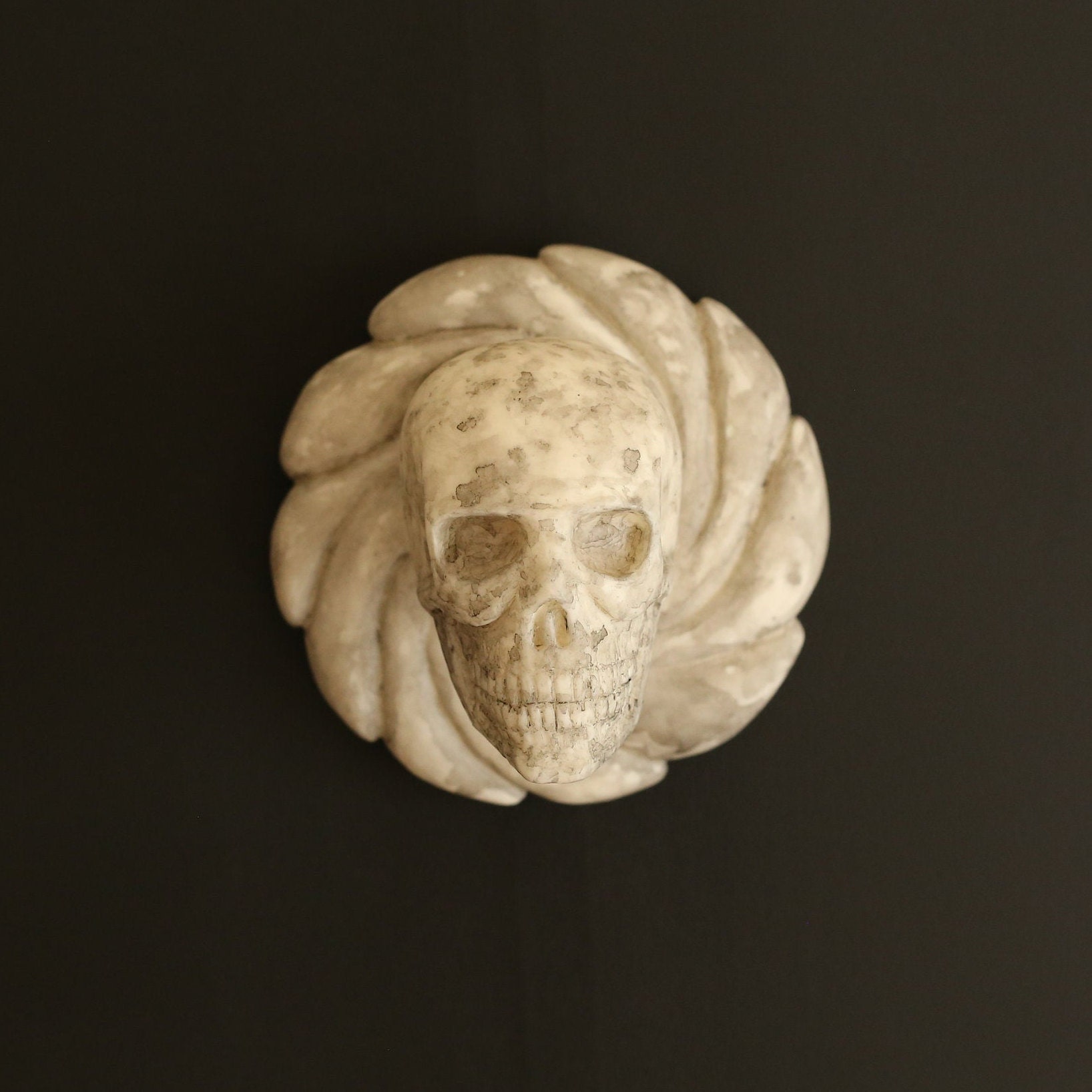 Décoration Murale Crâne en Résine Style Sali