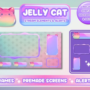 Rainbow Jelly Cat Twitch Overlay Set, Cute Kitty Stream Kit - Etsy
