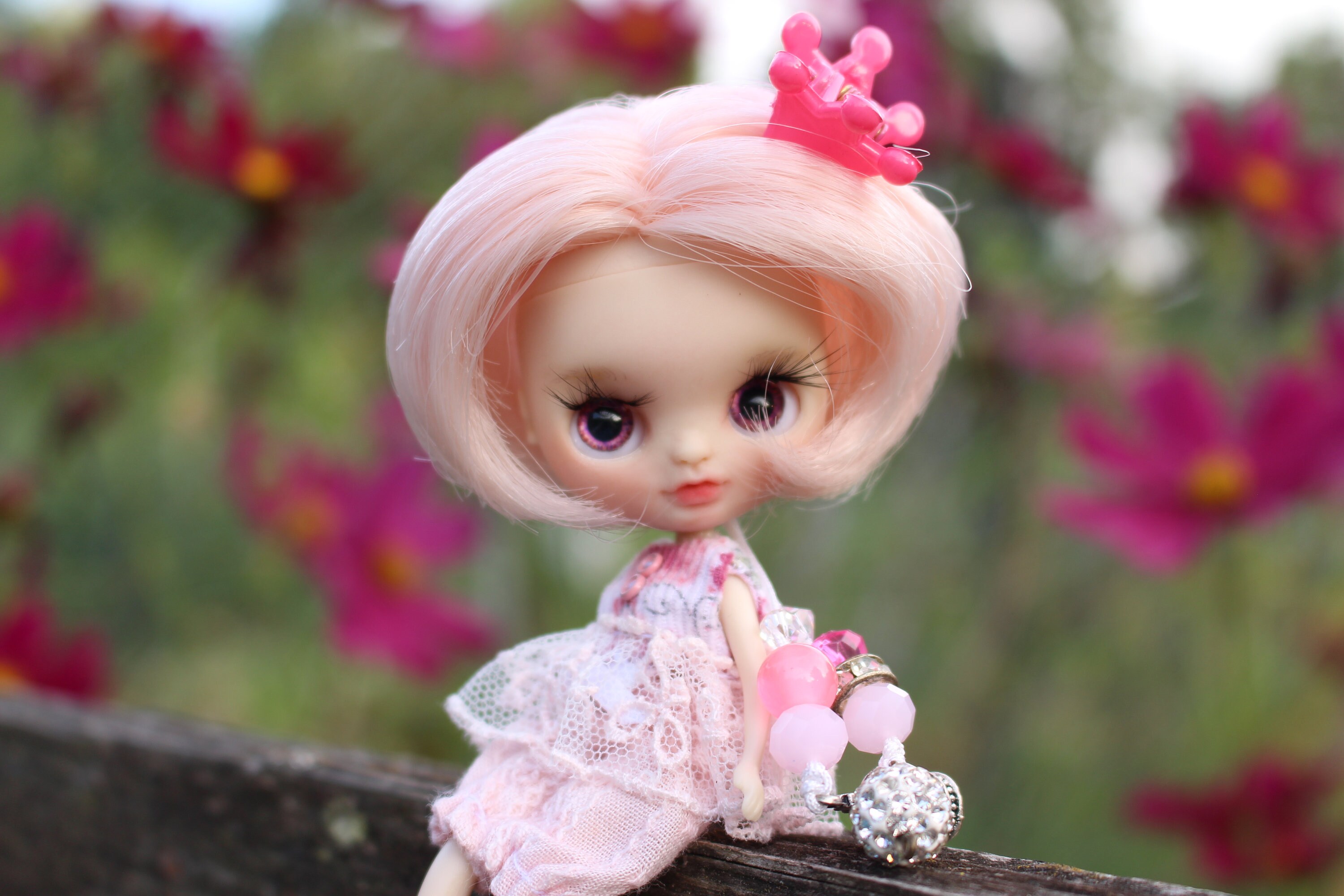 ルはお ヤフオク プチプライス Petite Blythe Kingyo Bijin Pb にありがと Shineray Com Br