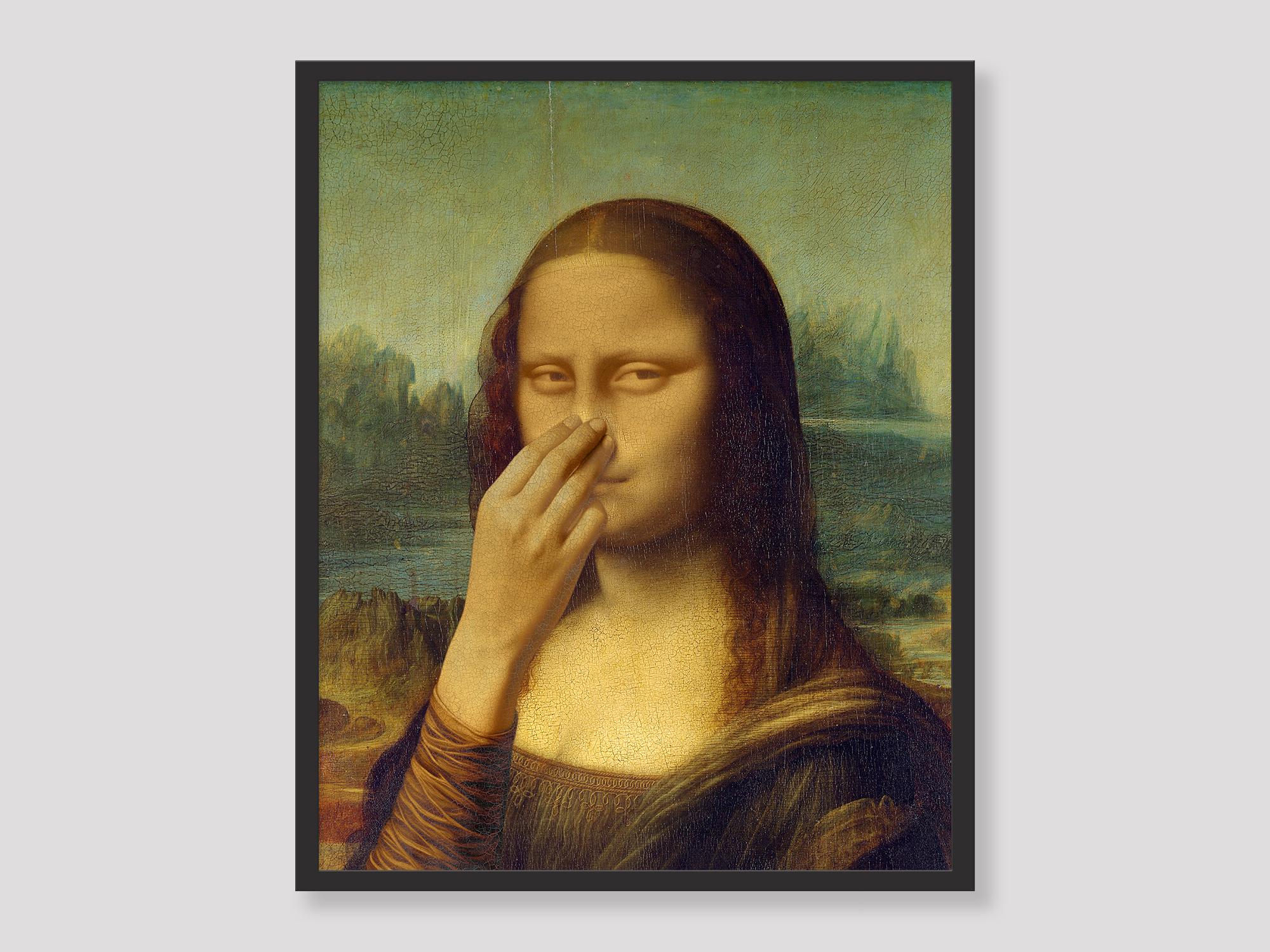 Tableau Déco Salle De Bain Humoristique Mona Lisa - Parodie Amusante, Bois Et Papier, 30x40 Cm, Déco D'intérieur Fantasy
