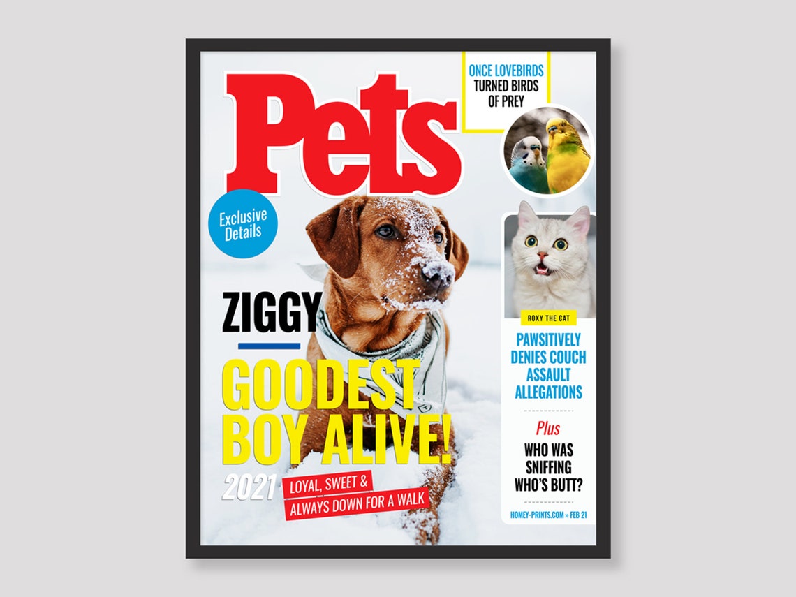 Custom Pet Magazine Cover Digital or framed for dogs and Etsy