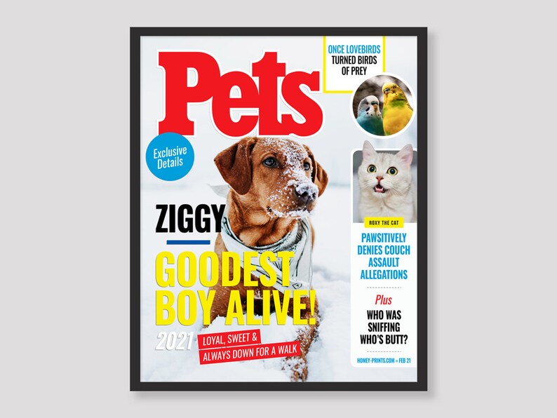 Custom Pet Magazine Cover Digital or Framed for Dogs and Etsy
