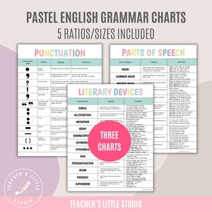 May include: Pastel colored English grammar charts with punctuation marks, parts of speech, and literary devices. The charts are labeled with the text "Punctuation", "Parts of Speech", and "Literary Devices".