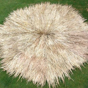 May include: A large, round, thatched roof made of dried, light brown palm leaves. The roof is viewed from directly above, showing the intricate pattern of the woven leaves.