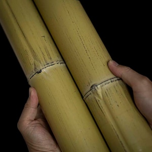 Könnte beinhalten: Zwei lange, gelbe Bambusstäbe mit einer natürlichen, verwitterten Oberfläche. Die Stäbe werden von einer Hand zusammengehalten.