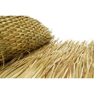 May include: Close-up of a rolled section of natural thatch roofing material. The woven portion is tightly constructed, while the unrolled section displays individual strands of dried, light brown grass. The background is plain white.