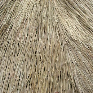 12ft Mexican Palm Grass Thatch Palapa Umbrella Top Cover - Etsy