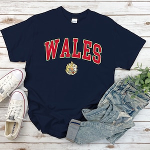 Wales Shirt, Coat of Arms of Cymru Tshirt, Cozy Tee Unisex