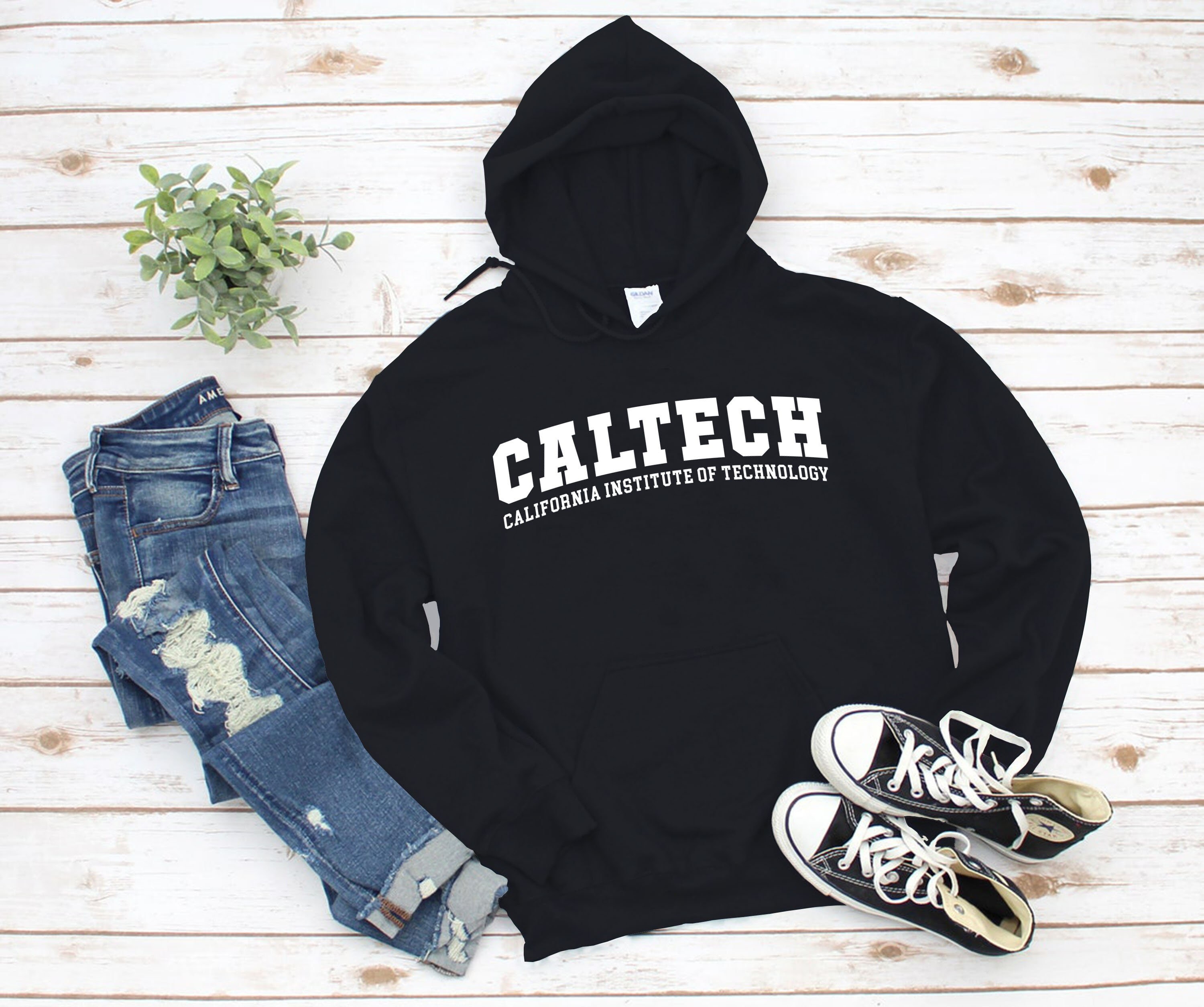 Caltech sweatshirt Clearance