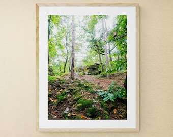 Vetical photograph of a landscape of Forest, trees and rocks, printed on glossy photo paper, for wall decoration, Art print