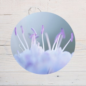 Autocollant rond, sticker de fleur de Scabieuse, pour scrapbooking, décoration, carnet, cahier, agenda, tablette, ordinateur, diamètre 10cm