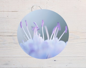 Round sticker, Scabious flower sticker, for scrapbooking, decoration, notebook, diary, tablet, computer, diameter 10cm