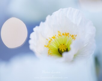 Impression d'Art d'une photographie de fleur blanche pour décoration murale ou d'intérieur, sur papier photo pro brillant