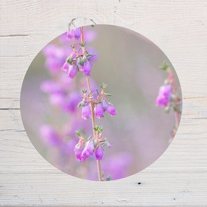 Autocollant floral rond, sticker de fleurs de Bruyères violettes, pour scrapbooking, décoration de cahiers, carnets, tablettes,diamètre 10cm