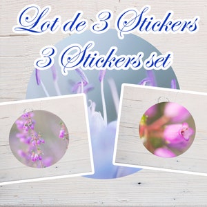 Set van drie ronde bloemenstickers, paarse bloemenstickers, voor scrapbooking, notitieboekjedecoratie, diameter 10 cm
