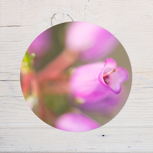 Autocollant rond, sticker de fleur de Bruyère violette, pour décoration de carnets, cahier, scrapbooking, tablette, diamètre 10cm