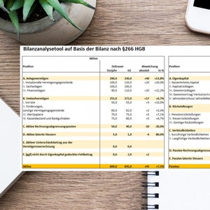 Balance sheet analysis - Excel template for professional balance sheet analysis with detailed instructions