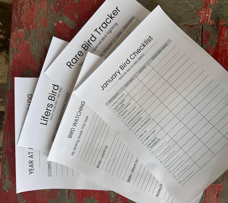 Birdwatching Starter Pack 2026, Year at a Glance + Monthly Checklist ...