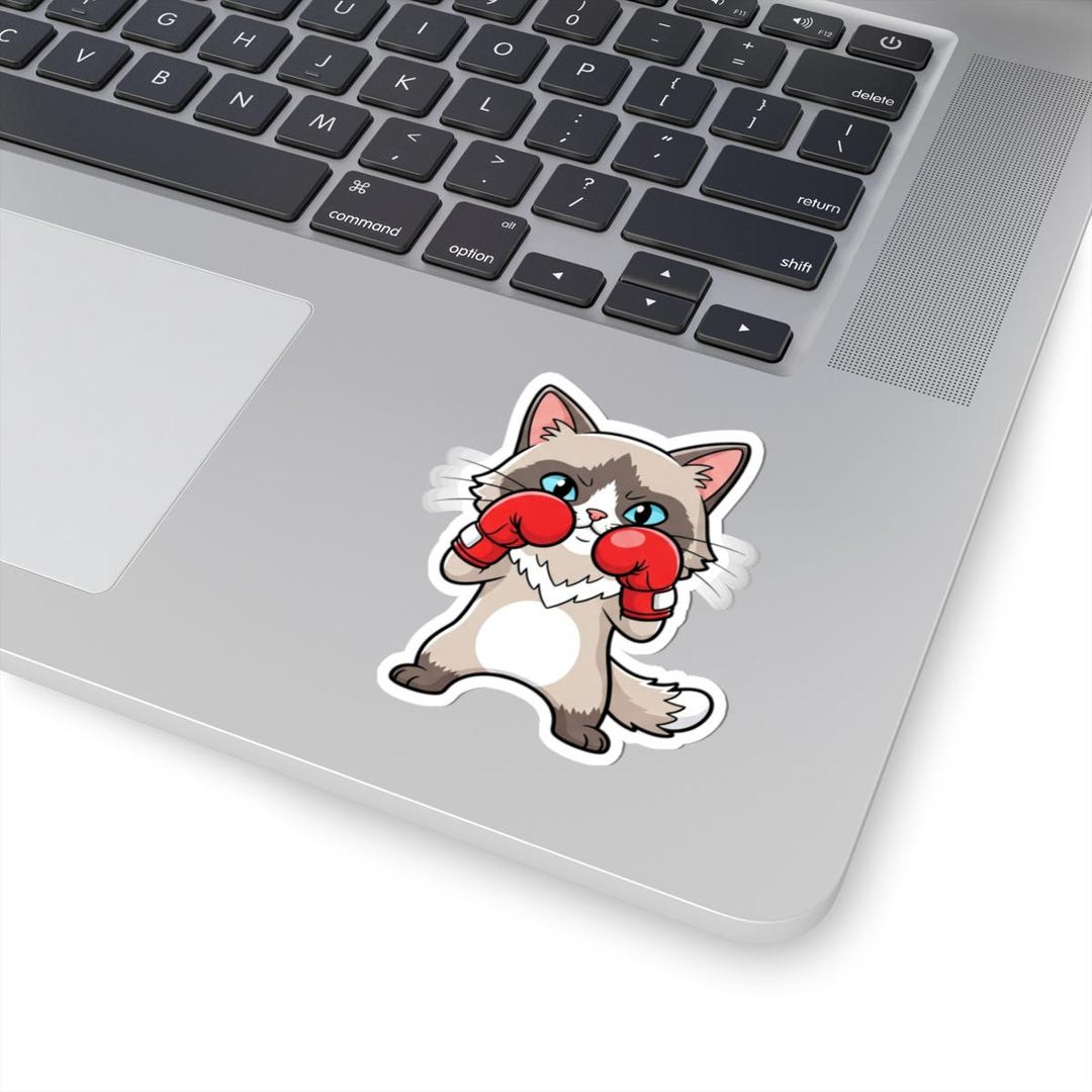 Boxing Ragdoll Cat Sticker | Kitten Vinyl Decal - Etsy
