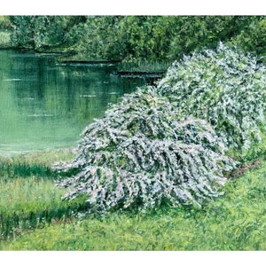 Original Ölgemälde von Rachel Williams