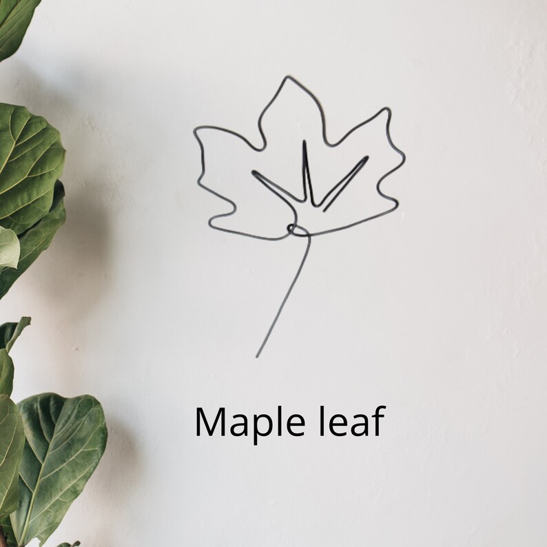 May include: A simple line drawing of a maple leaf, with the text "Maple leaf" below it.