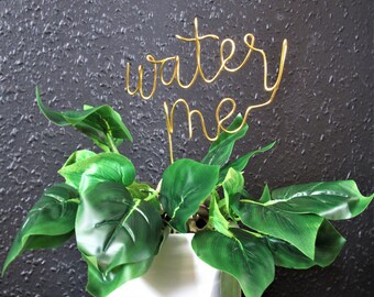 Peut inclure: Une plante verte en pot avec les mots "water me" écrits en fil de fer doré.