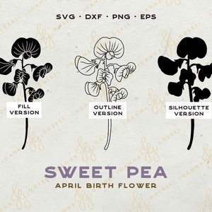 Puede incluir: Tres versiones de un gr&aacute;fico de flor de guisante dulce: una versi&oacute;n negra rellena, una versi&oacute;n de contorno y una versi&oacute;n de silueta. El texto "SVG - DXF - PNG - EPS" est&aacute; en la parte superior de la imagen. El texto "FILL VERSION", "OUTLINE VERSION" y "SILHOUETTE VERSION" est&aacute; debajo de cada gr&aacute;fico. El texto "SWEET PEA" y "APRIL BIRTH FLOWER" est&aacute; en la parte inferior de la imagen.