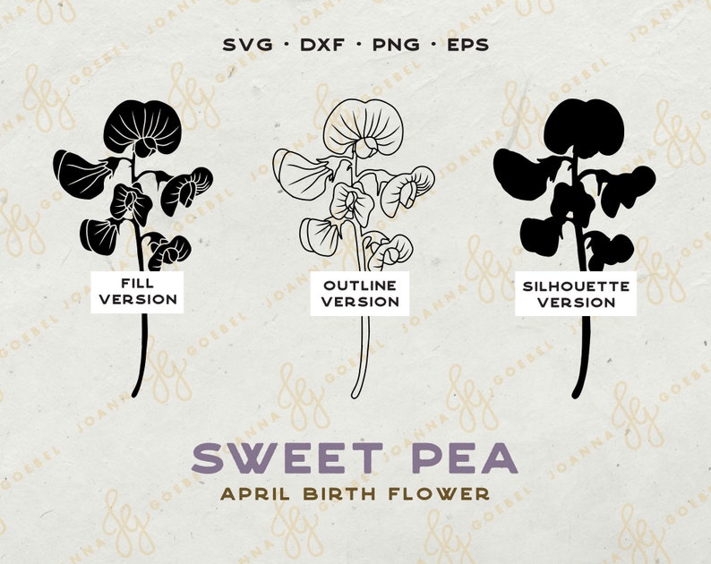 Puede incluir: Tres versiones de un gr&aacute;fico de flor de guisante dulce: una versi&oacute;n negra rellena, una versi&oacute;n de contorno y una versi&oacute;n de silueta. El texto "SVG - DXF - PNG - EPS" est&aacute; en la parte superior de la imagen. El texto "FILL VERSION", "OUTLINE VERSION" y "SILHOUETTE VERSION" est&aacute; debajo de cada gr&aacute;fico. El texto "SWEET PEA" y "APRIL BIRTH FLOWER" est&aacute; en la parte inferior de la imagen.