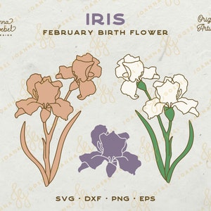 Pode incluir: Uma ilustração digital de três flores de íris em diferentes cores: pêssego, branco e roxo. As flores são delineadas em marrom e têm caules e folhas verdes. O texto "ÍRIS FLOR DE NASCIMENTO DE FEVEREIRO" está no topo da imagem.