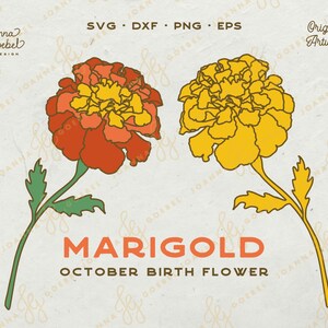 May include: Two marigold flowers, one orange and one yellow, with green stems and leaves. The text "MARIGOLD" and "OCTOBER BIRTH FLOWER" is below the flowers.