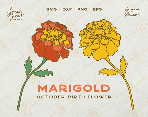 Marigold Flower SVG, October Birth Flower, Layered Floral (Digital Download)