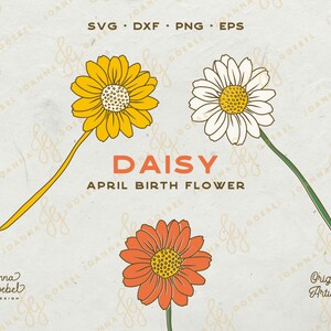 Op de afbeelding: Drie madeliefjes met stelen, &eacute;&eacute;n geel, &eacute;&eacute;n wit en &eacute;&eacute;n oranje. De tekst "DAISY APRIL BIRTH FLOWER" staat onder de bloemen.