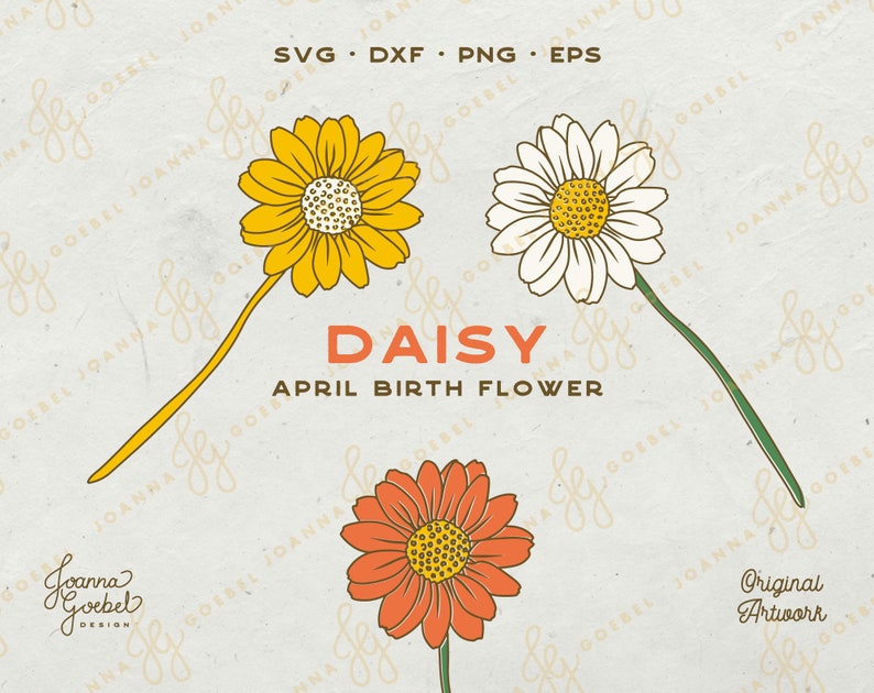 Op de afbeelding: Drie madeliefjes met stelen, &eacute;&eacute;n geel, &eacute;&eacute;n wit en &eacute;&eacute;n oranje. De tekst "DAISY APRIL BIRTH FLOWER" staat onder de bloemen.
