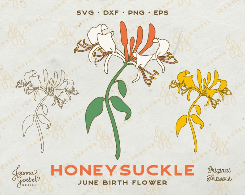 May include: A digital illustration of a honeysuckle flower in three different colour variations: white, orange, and yellow. The text "Honeysuckle" and "June Birth Flower" is below the flowers.
